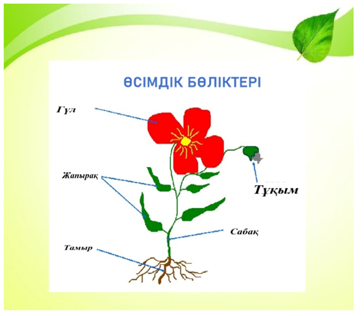 2355513.png